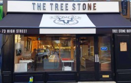 The Tree Stone